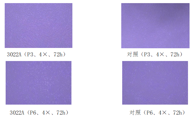 1725499620426961.png 45fed7c468982392a5f1496ae0f29120_1274488b-b2af-4e7c-a58e-79f7fd470981_t=1721098996515.png